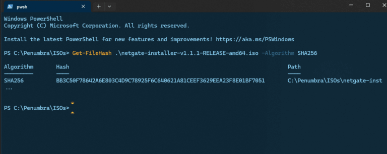 PowerShell terminal showing the Get-FileHash command output for SHA256 checksum verification of the Netgate installer ISO