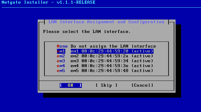 Netgate Installer LAN interface assignment screen with em1 selected from the interface list