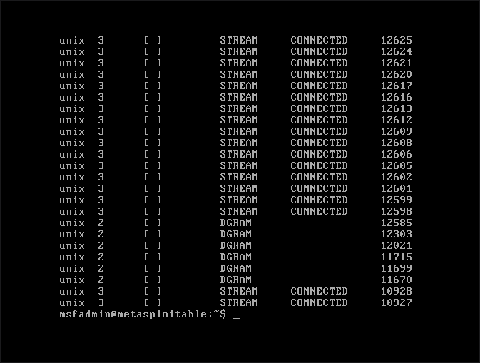 Metasploitable2 console showing the netstat output with an extensive list of services listening on open ports including port 21 FTP, port 22 SSH, port 23 Telnet, port 80 HTTP, and port 445 SMB among many others